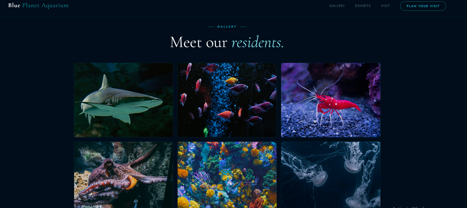 Blue Planet Aquarium website preview